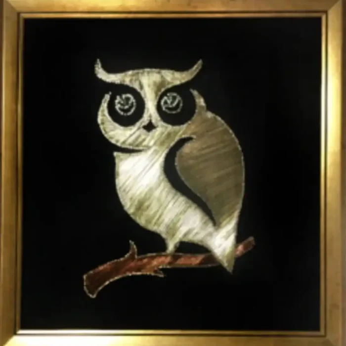 Baykuş Çerçeveli Tablo